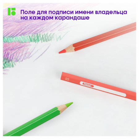 Карандаши цветные Berlingo "SuperSoft. Замки", 18цв., заточен., картон, европодвес SS00118 297231 - МСК «Форвард»