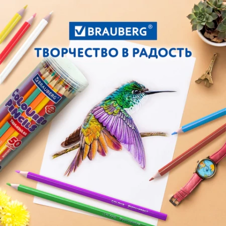 Карандаши цветные BRAUBERG PREMIUM 50 цветов в тубе, трехгранные, грифель 3,3 мм, натуральное дерево, 181935 - МСК «Форвард»