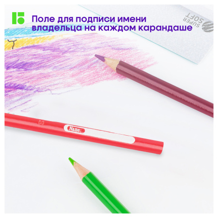 Карандаши цветные Berlingo "SuperSoft. Жил-был кот", 12цв., трехгран., заточен., картон, европодвес SS00512 297236 - МСК «Форвард»