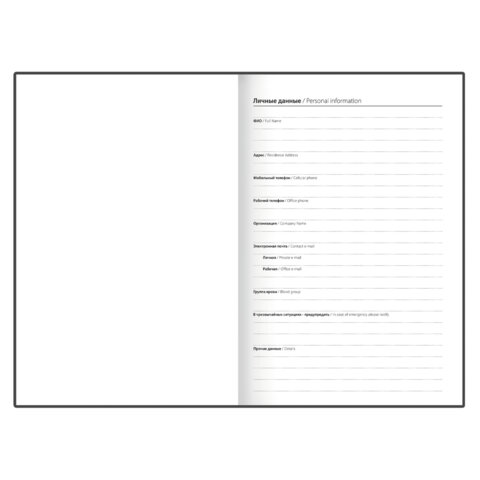 Ежедневник датированный 2026 145х215 мм, А5, STAFF, ламинированная обложка, "Ice flowers", 117319 - МСК «Форвард»