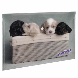 Изображение загружено обработкой