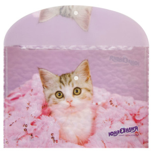 accb067d9facb2374094c1c60220502d_x