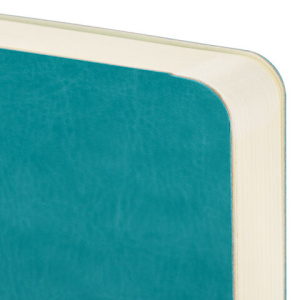 31911a698ee80865c4954ee7c885b7d9_x