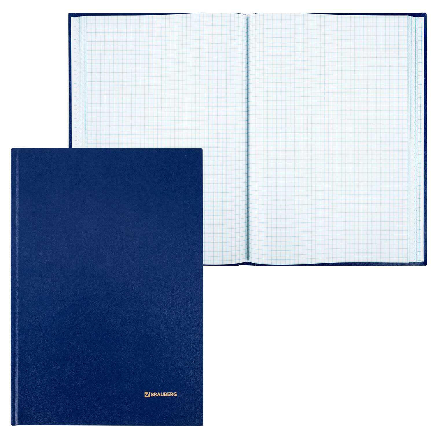 Книга учета 160л, клетка, твердая, бумвинил, блок офсет, А4 (200х290мм), BRAUBERG, 130182