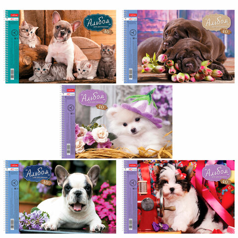 Альбом д/рис. А4 40л., спираль, обложка картон, HATBER, 205х300мм, Любимцы, 40А4Всп(A28209) A28209 101505