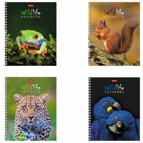 Тетрадь А5 80л. HATBER гребень, клетка, обложка картон, ЗОО_мир (4 вида в спайке), 80Т5В1гр 404493