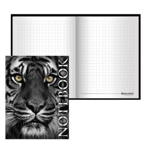 Изображение загружено обработкой