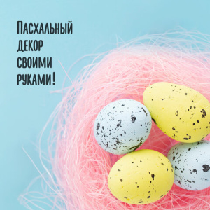 11f8605027bf0d8dfd04ecb3aa1969c7_x