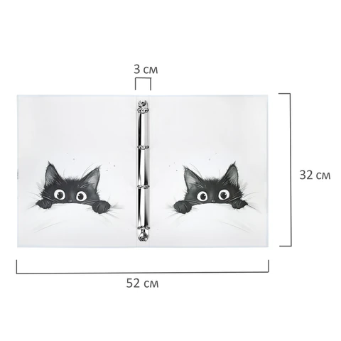Папка-портфолио универсальная, 4 кольца, 20 файлов, 7БЦ матовая, BRAUBERG "Cat", 107557, 117557 - МСК «Форвард»