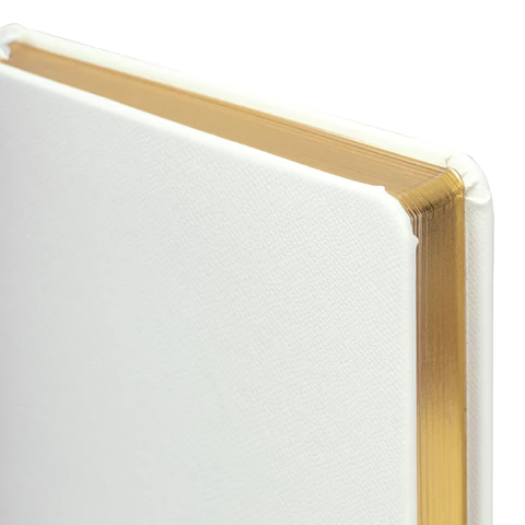 Ежедневник недатированный А5 138х213 мм, BRAUBERG "Iguana", под кожу, 160 л., белый, 114458 - МСК «Форвард»