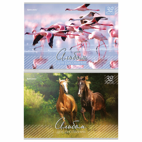 Альбом д/рис. А4 32л., скоба, обложка картон, BRAUBERG, 200х283мм, Живая природа (2вида), 103683