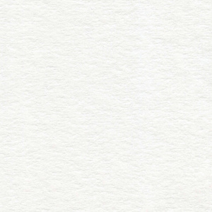 de29cb7ac024a38747dd5dfcb3a8b2d7_x