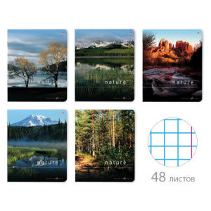 Изображение загружено обработкой