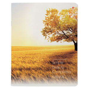 dea243773f7e7191c98d398fe6ee5569_x