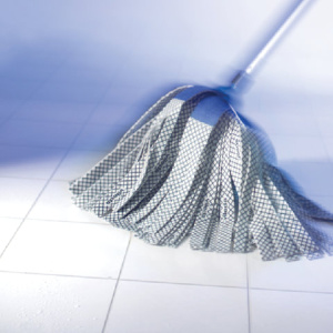 f090bb92a8458ff427c286616e2da172_x