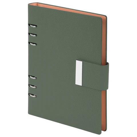 Ежедневник на кольцах в наборе с ручкой А5, 165x229 мм, BRAUBERG "Lux", под кожу, 100 листов, зеленый, 116858 - МСК «Форвард»