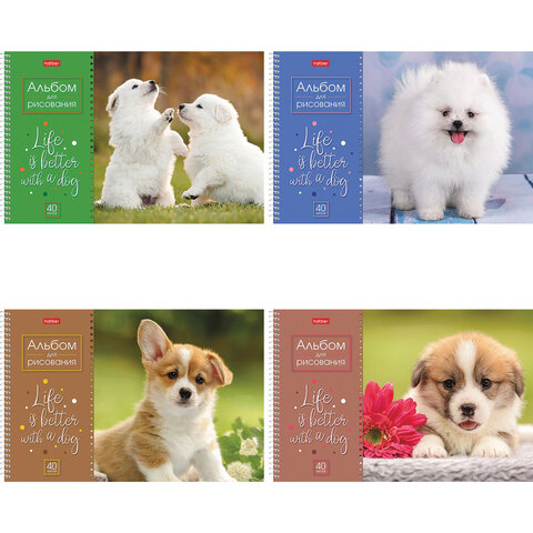 Альбом д/рис. А4 40л., спираль, обложка картон, HATBER, 205х290мм, Щенки (4 вида в спайке), 40А4Всп 113081