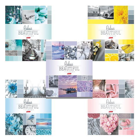 Тетрадь А5 96л. HATBER скоба, клетка, обложка картон, BEAUTIFUL COLOURE (5 видов), 96Т5В1 T241349 402919