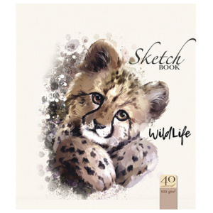 Изображение загружено обработкой