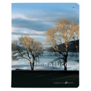 c733f0def4368a411c4de623b7b2e43b_x