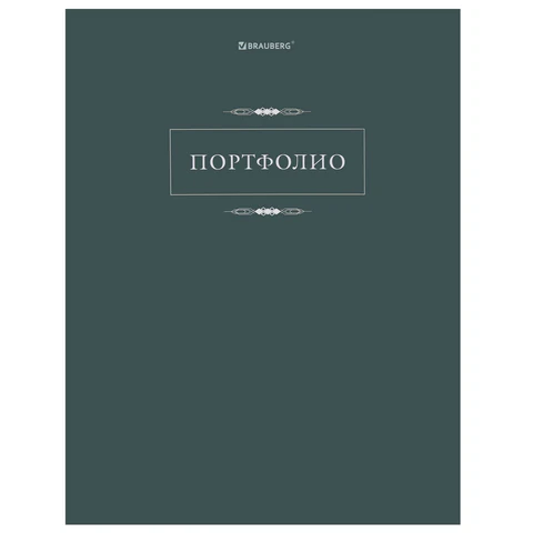 Папка-портфолио универсальная, 4 кольца, 20 файлов, 7БЦ матовая, BRAUBERG "Classic", 117554 - МСК «Форвард»