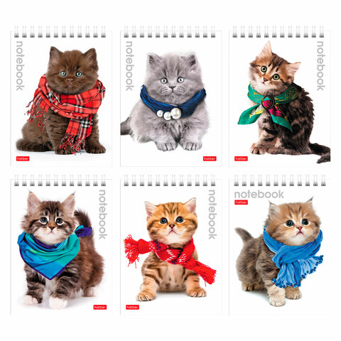 Блокнот МАЛЫЙ ФОРМАТ А6 110х145мм, 40л, гребень, лакированный, клетка, HATBER, Котята, 40Б6B1гр В122 121503