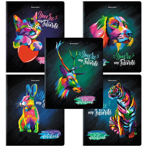 Тетрадь А5, 48 л., BRAUBERG, скоба, клетка, матовая ламинация, выборочный лак, "Animals Pop-Art" (микс в спайке), 404374 - МСК «Форвард»