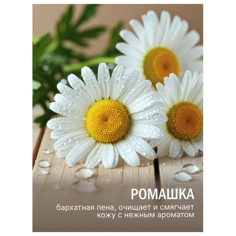 Мыло-крем туалетное 90 г, ЛЕСНАЯ ПОЛЯНКА "Ромашка", натуральная основа, 1100-2 702648 - МСК «Форвард»