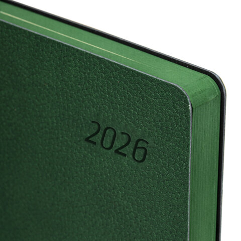 Ежедневник датированный 2026 А5 138x213 мм, BRAUBERG "Stylish", под кожу, гибкий, зеленый, 117102 - МСК «Форвард»