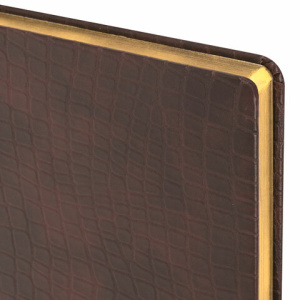 97b5bd593838d5fa944b9a96e7435763_x