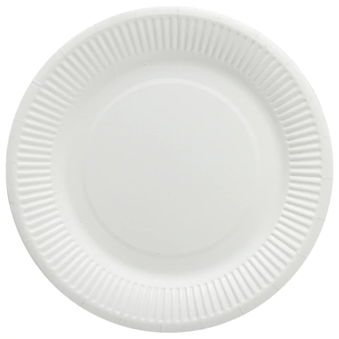 Тарелка одноразовая бумажная 230 мм, 100 штук, СТАНДАРТ, жиростойкая ламинированная, LAIMA, 608086 - МСК «Форвард»