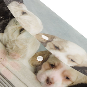 16532dee067d9cb6739aa791a3268529_x