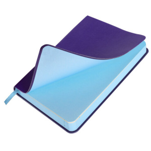 9e57e5db079c4c35215273309c1595d1_x