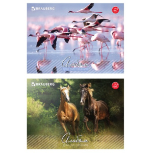 Изображение загружено обработкой