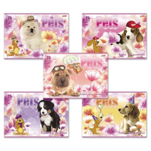 Изображение загружено обработкой