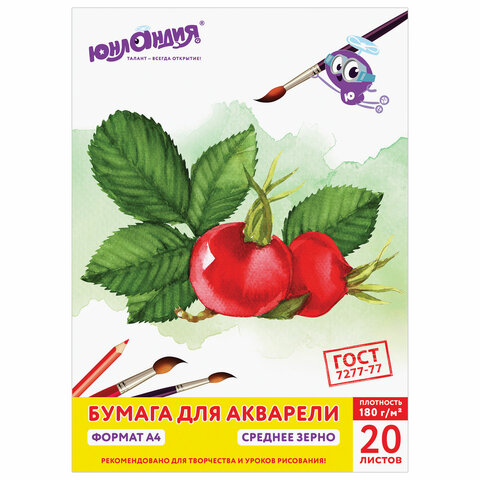 Папка для акварели А4, 20л., 180 г/м2, ЮНЛАНДИЯ, 210*297мм, Юнландик на даче, 111074