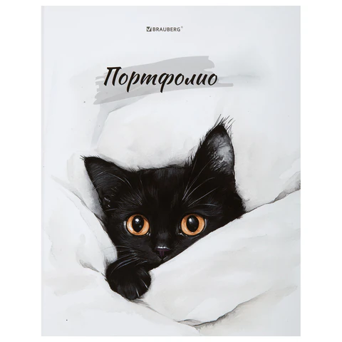 Папка-портфолио универсальная, 4 кольца, 20 файлов, 7БЦ матовая, BRAUBERG "Cat", 107557, 117557 - МСК «Форвард»