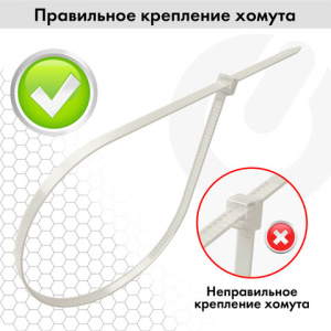 a2b70309e213497aa1f84cb6d3d438d7_x