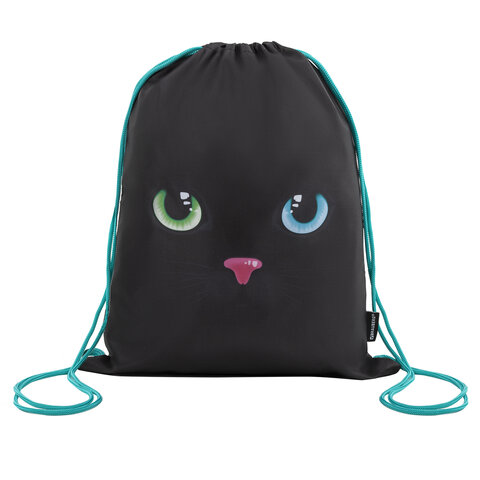 Папка на молнии с ручками А4, мешок для обуви 42х33 см, пенал 20х10 см, "Black cat" НАБОР BRAUBERG, 271434 - МСК «Форвард»