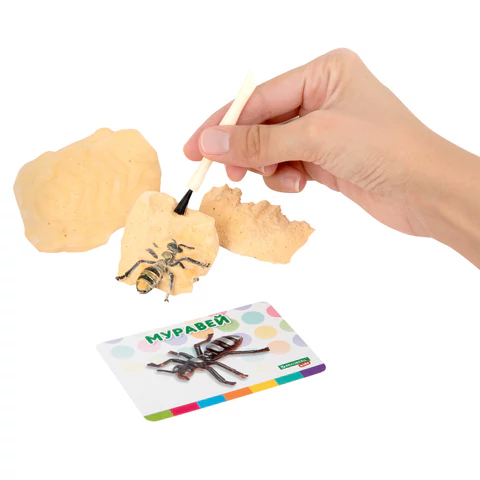 Набор для раскопок "Насекомые", 12 видов, карточки, инструменты, BRAUBERG KIDS, 665127 - МСК «Форвард»