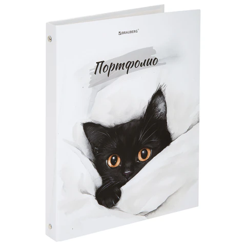 Папка-портфолио универсальная, 4 кольца, 20 файлов, 7БЦ матовая, BRAUBERG "Cat", 107557, 117557 - МСК «Форвард»