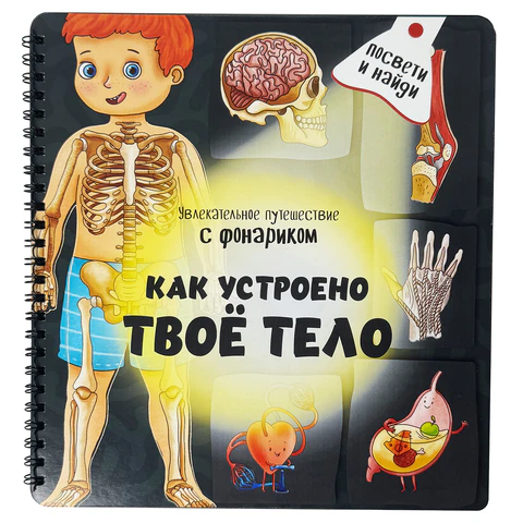 Книжка с фонариком "Познаю мир", КОМПЛЕКТ 6ШТ 210х230 мм, 12 страниц, АССОРТИ, Бимбимон 691202 - МСК «Форвард»