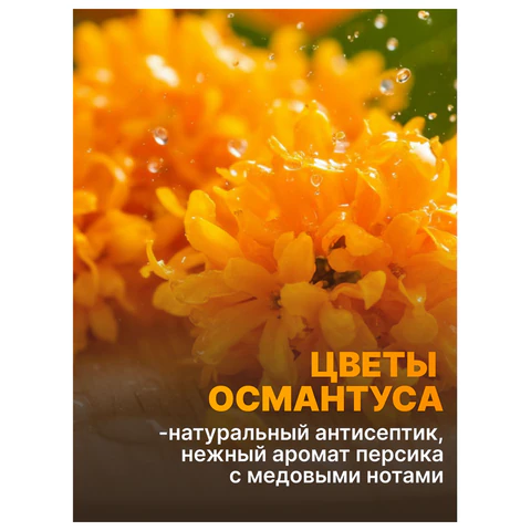 Средство для мытья посуды 450 мл, AOS "Османтус", 1746-3 702641 - МСК «Форвард»