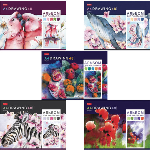 Альбом для рисования А4 48л., скоба, обложка картон, HATBER, 205х290мм, Акварельная палитра (5 видов),48А4В 113791