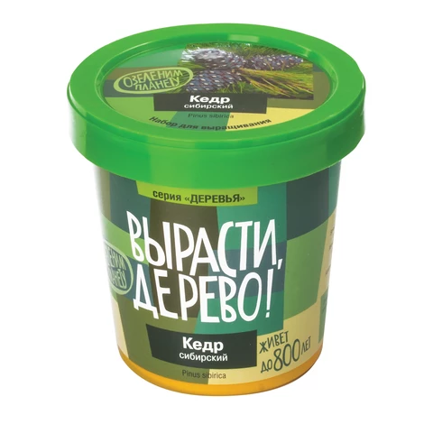 Набор для выращивания растений ВЫРАСТИ ДЕРЕВО! "Кедр Сибирский" (банка, грунт, семена),zk-001  660811