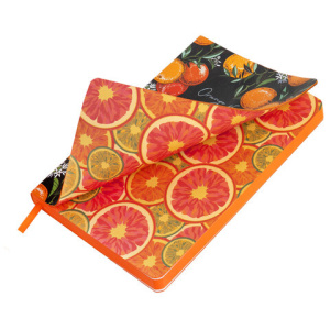 4b0dc1a37fdc3f9cc34c7e3d1f8a9786_x