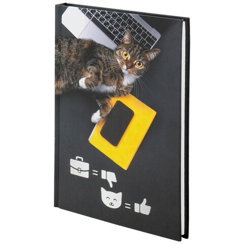 Блокнот А5 (135х206мм), 80л, твердый, выборочный лак, клетка, STAFF, Милый котик, 111603