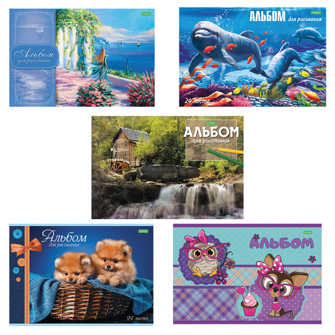 Альбом д/рис. А4 24л., скоба, обложка офсет, HATBER ECO, 205х290мм, Ассорти (5 видов), 24А4C 105397