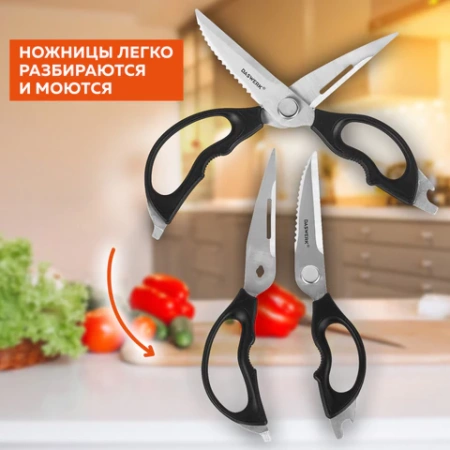 Ножницы кухонные DASWERK (ДАСВЕРК), 230 мм, разборные, с открывашками, зазубренные, 608906 - МСК «Форвард»