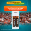 Зарядное устройство с аккумуляторами 2 шт. AA (HR6), 2700 mAh, SONNEN BC2, в блистере, 454239 - МСК «Форвард»